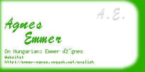 agnes emmer business card